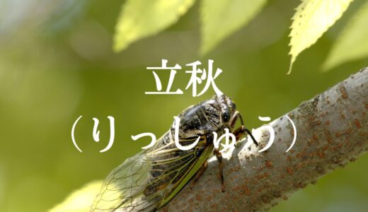 立秋（りっしゅう）　二十四節気　第十三　～自然のリズムを感じて過ごす～