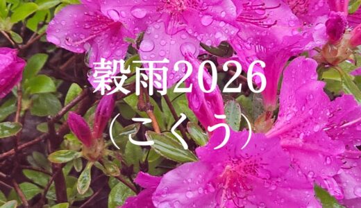 【名古屋市緑区】春の養生4。鍼灸師がAIと読み解く「穀雨」の運気と東洋医学的な過ごし方 #2